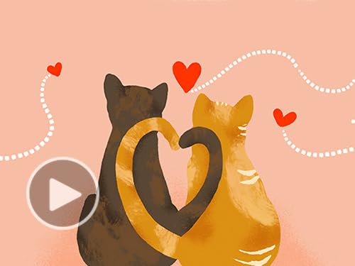 31qm3jg2y4l 1.jpg 31qm3jg2y4l 1.jpg