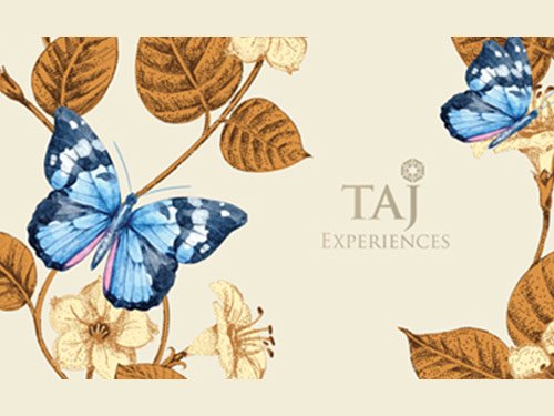 51zbzagn80l.jpg 51zbzagn80l.jpg