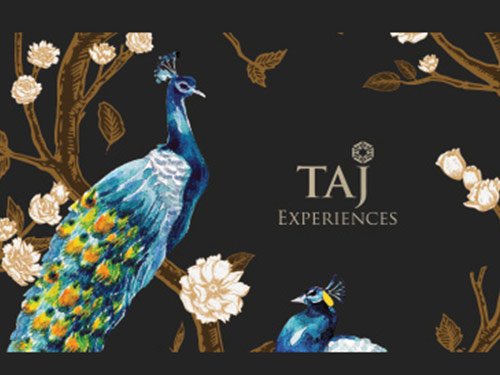 51tkn8tk1l.jpg 51tkn8tk1l.jpg